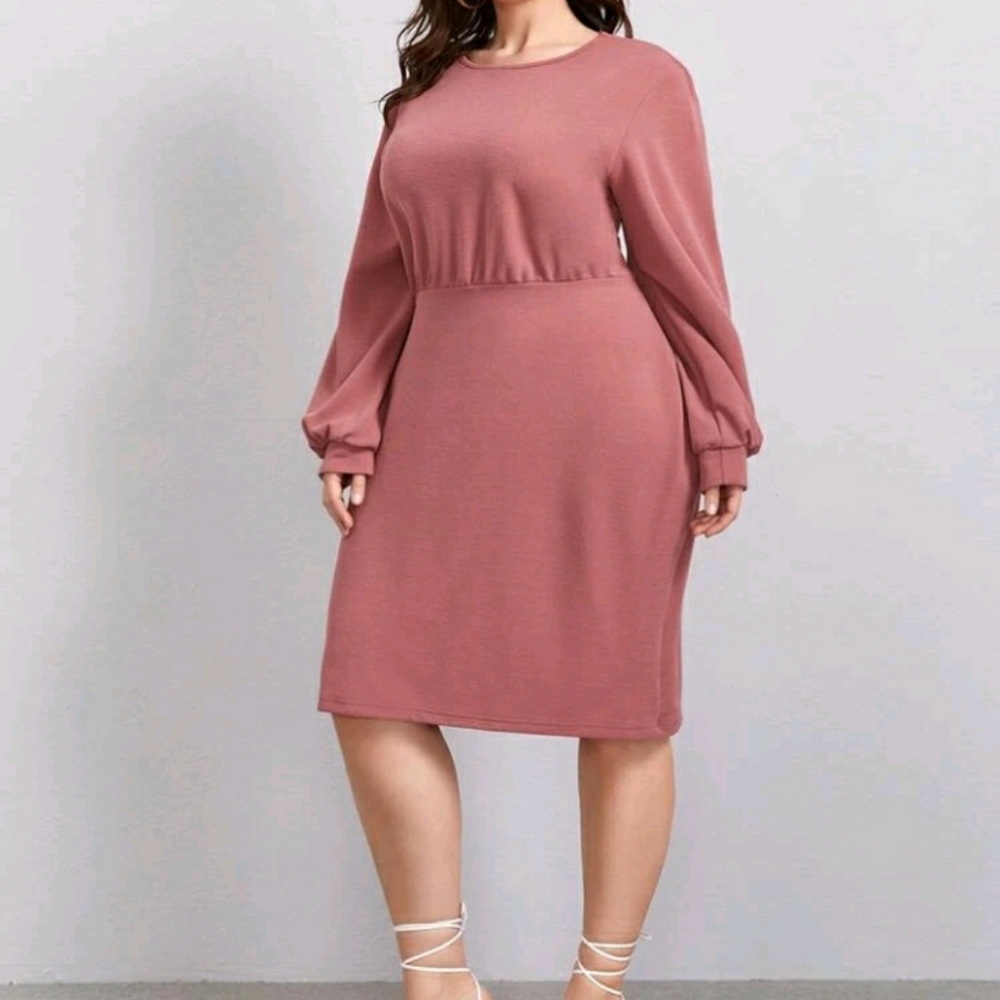 NEW Plus Fitted Dress - Picture 4 of 8